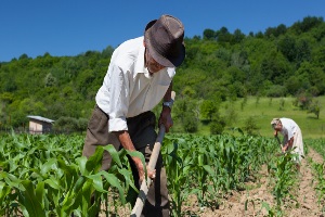 escritorio de advocacia direito agrario